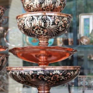 سرویس پذیرایی مسی دیبا هما