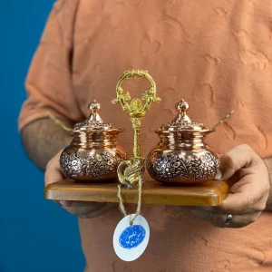 پاسماوری مسی ۲ عددی با استند چوبی وکیوم